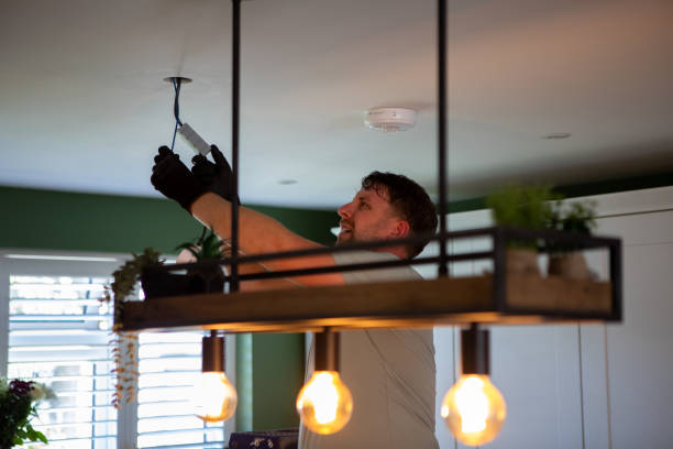 Best Electric Panel Repair  in Ruleville, MS